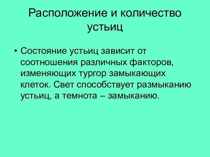 Расположение и количество устьиц Состояние устьиц зависит от соотношения различных факторов,