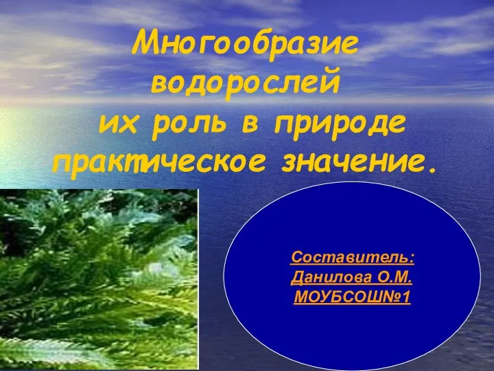 Презентация на тему Многообразие водорослей их роль в природе практическое значение.