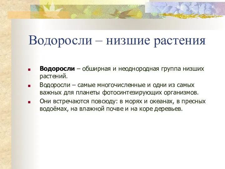 Водоросли – низшие растения Водоросли – обширная и неоднородная группа низших