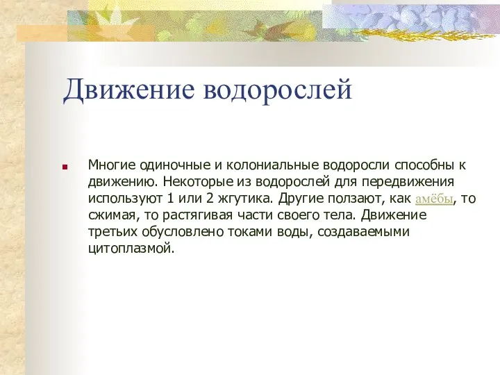 Движение водорослей Многие одиночные и колониальные водоросли способны к движению. Некоторые