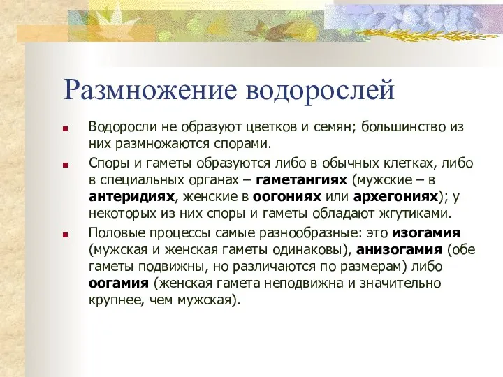 Размножение водорослей Водоросли не образуют цветков и семян; большинство из них