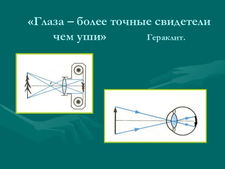 «Глаза – более точные свидетели чем уши» Гераклит.