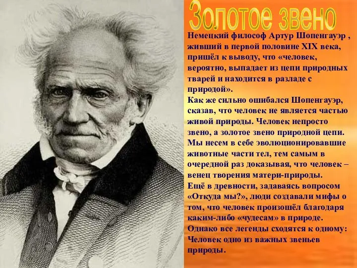 Золотое звено Немецкий философ Артур Шопенгауэр , живший в первой половине