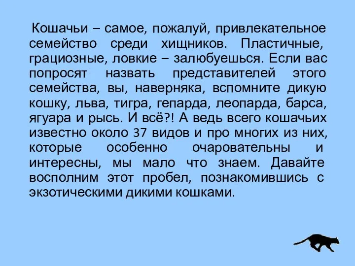 Кошачьи – самое, пожалуй, привлекательное семейство среди хищников. Пластичные, грациозные, ловкие