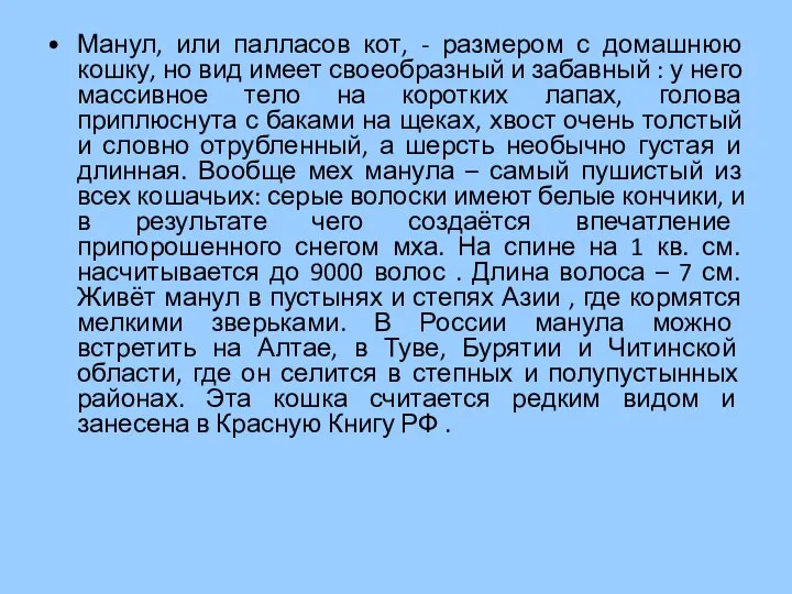 Манул, или палласов кот, - размером с домашнюю кошку, но вид