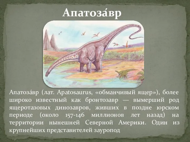 Апатоза́вр (лат. Apatosaurus, «обманчивый ящер»), более широко известный как бронтозавр —