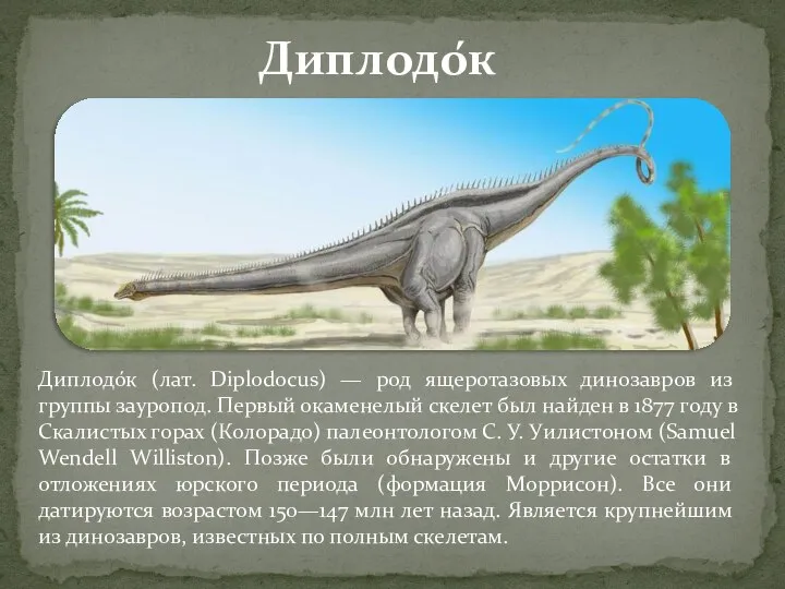 Диплодо́к (лат. Diplodocus) — род ящеротазовых динозавров из группы зауропод. Первый