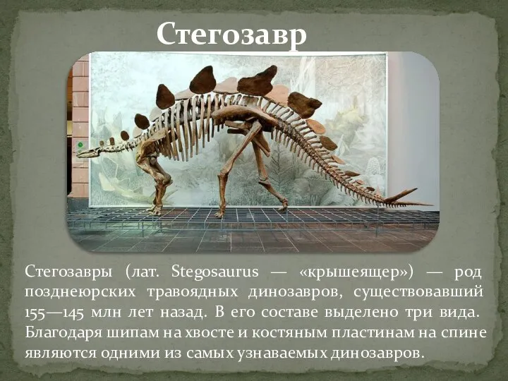 Стегозавры (лат. Stegosaurus — «крышеящер») — род позднеюрских травоядных динозавров, существовавший