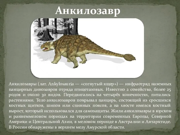 Анкилозавры (лат. Ankylosauria — «согнутый ящер») — инфраотряд наземных панцирных динозавров