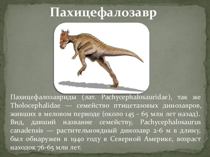 Пахицефалозавриды (лат. Pachycephalosauridae), так же Tholocephalidae — семейство птицетазовых динозавров, живших