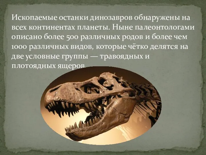 Ископаемые останки динозавров обнаружены на всех континентах планеты. Ныне палеонтологами описано