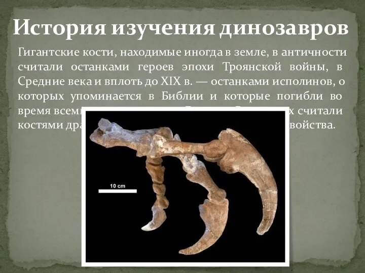 История изучения динозавров Гигантские кости, находимые иногда в земле, в античности
