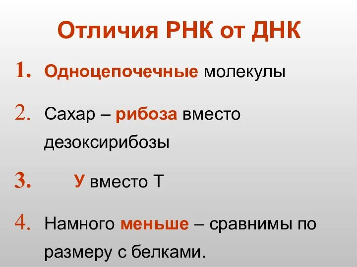 Отличия РНК от ДНК Одноцепочечные молекулы Сахар – рибоза вместо дезоксирибозы