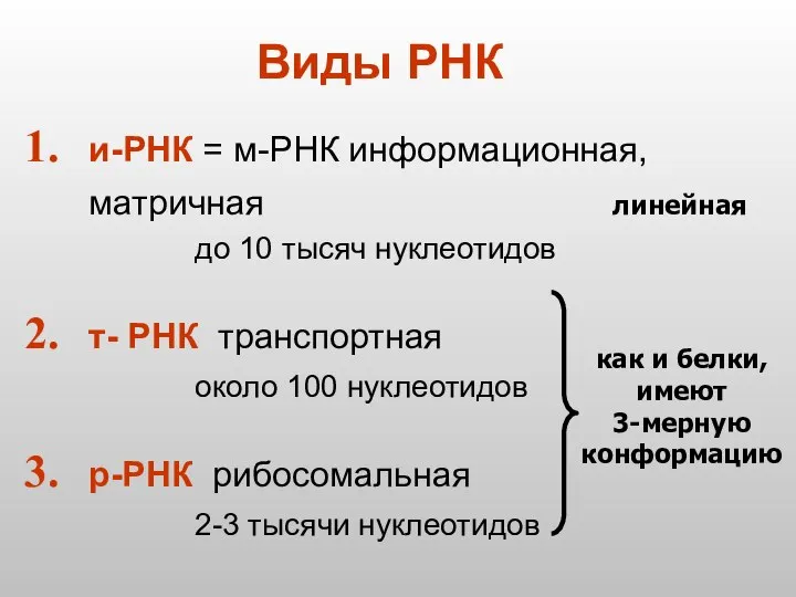 Виды РНК и-РНК = м-РНК информационная, матричная до 10 тысяч нуклеотидов