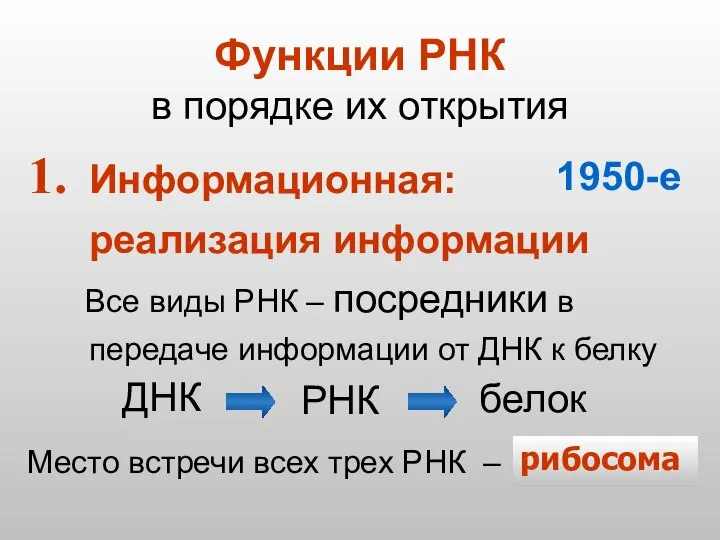 Функции РНК в порядке их открытия Информационная: реализация информации Все виды