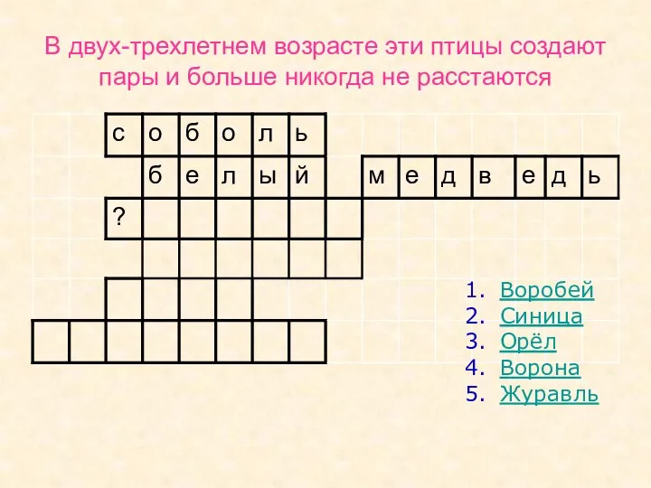 В двух-трехлетнем возрасте эти птицы создают пары и больше никогда не