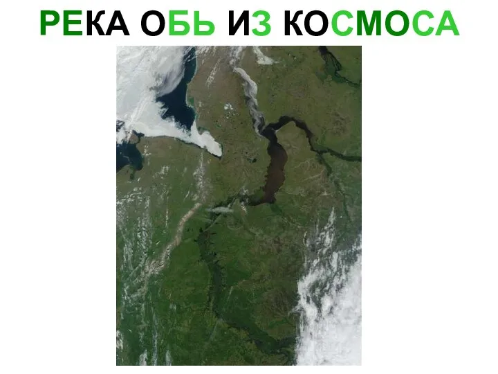 РЕКА ОБЬ ИЗ КОСМОСА Река обь из космоса