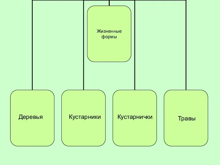 Деревья Кустарники Кустарнички Травы