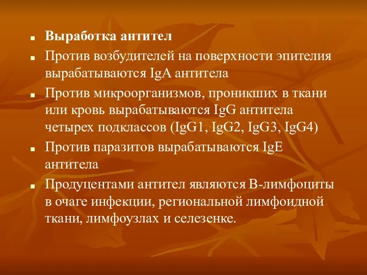 Выработка антител Против возбудителей на поверхности эпителия вырабатываются IgA антитела Против