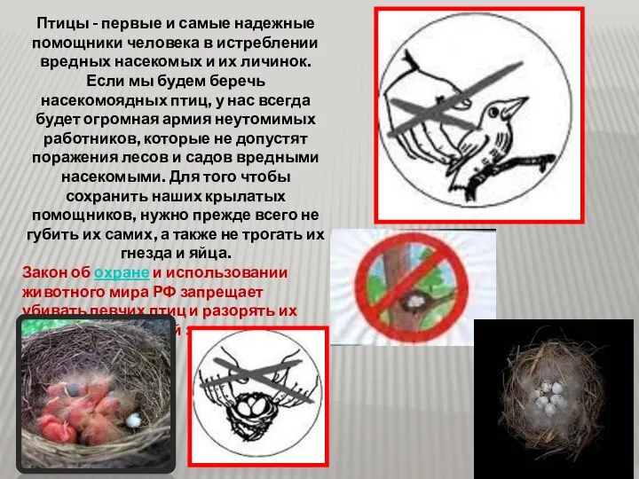 Птицы - первые и самые надежные помощники человека в истреблении вредных