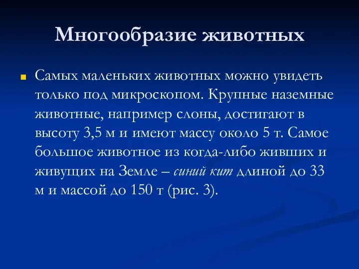 Многообразие животных Самых маленьких животных можно увидеть только под микроскопом. Крупные