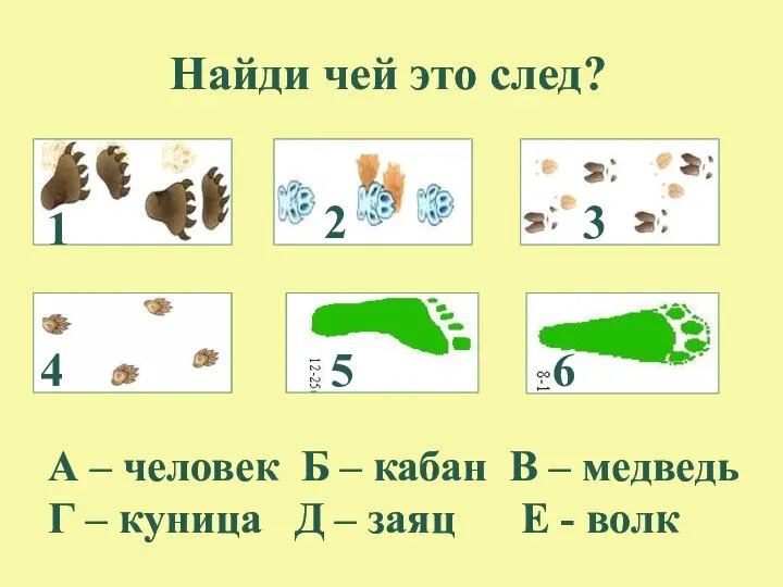 Найди чей это след? А – человек Б – кабан В