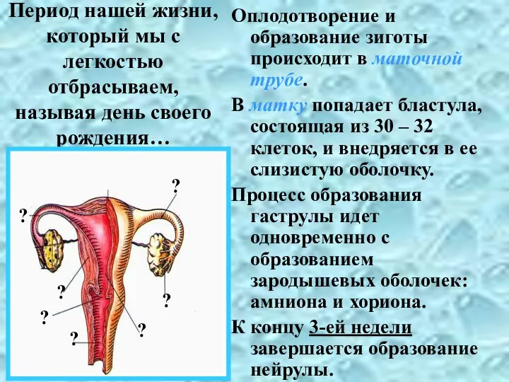 Период нашей жизни, который мы с легкостью отбрасываем, называя день своего