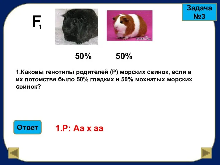 F 1 Задача №3 50% 50% 1.Каковы генотипы родителей (Р) морских