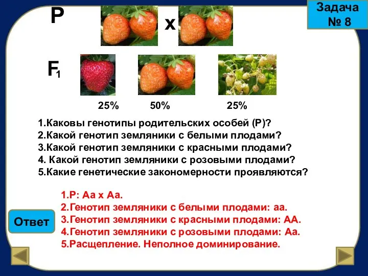 х Р 1 F 1.Каковы генотипы родительских особей (Р)? 2.Какой генотип