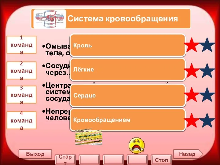 Назад Выход 1 команда 2 команда 3 команда 4 команда Кровь Лёгкие Сердце Кровообращением Старт Стоп