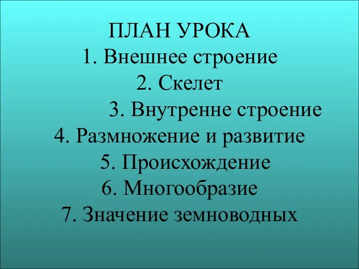 ПЛАН УРОКА 1. Внешнее строение 2. Скелет 3. Внутренне строение 4.