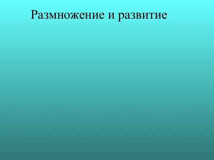 Размножение и развитие