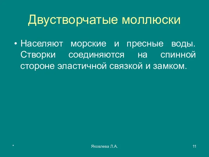 * Яковлева Л.А. Двустворчатые моллюски Населяют морские и пресные воды. Створки