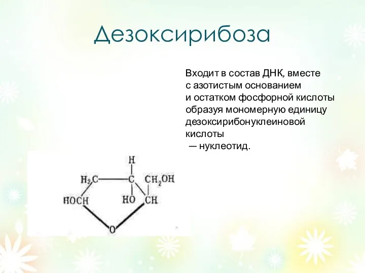 Дезоксирибоза Входит в состав ДНК, вместе с азотистым основанием и остатком