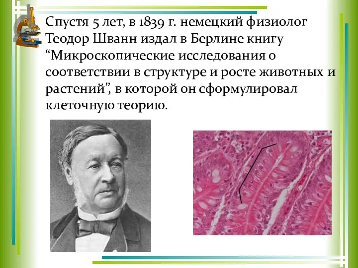 Спустя 5 лет, в 1839 г. немецкий физиолог Теодор Шванн издал