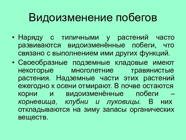 Видоизменение побегов Наряду с типичными у растений часто развиваются видоизменённые побеги,