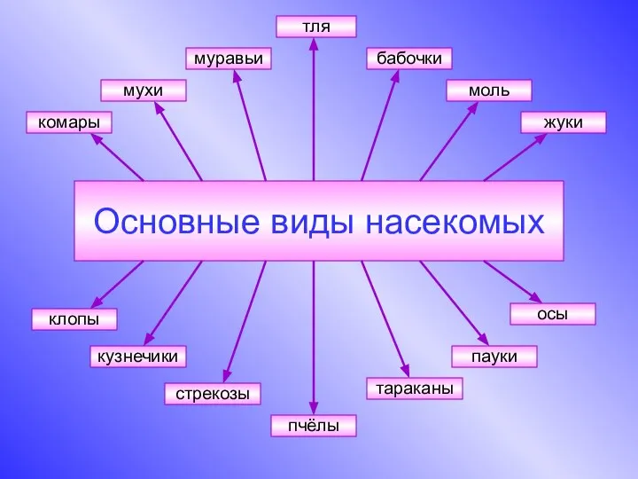 Основные виды насекомых бабочки клопы жуки комары кузнечики моль мухи муравьи