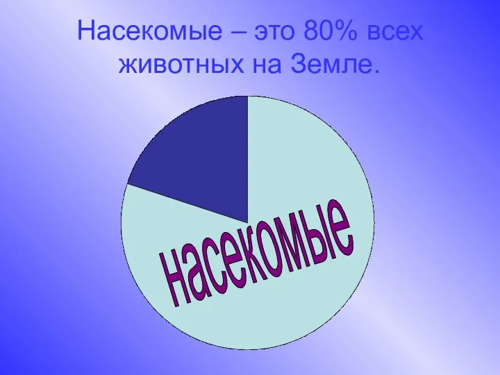 Насекомые – это 80% всех животных на Земле. насекомые