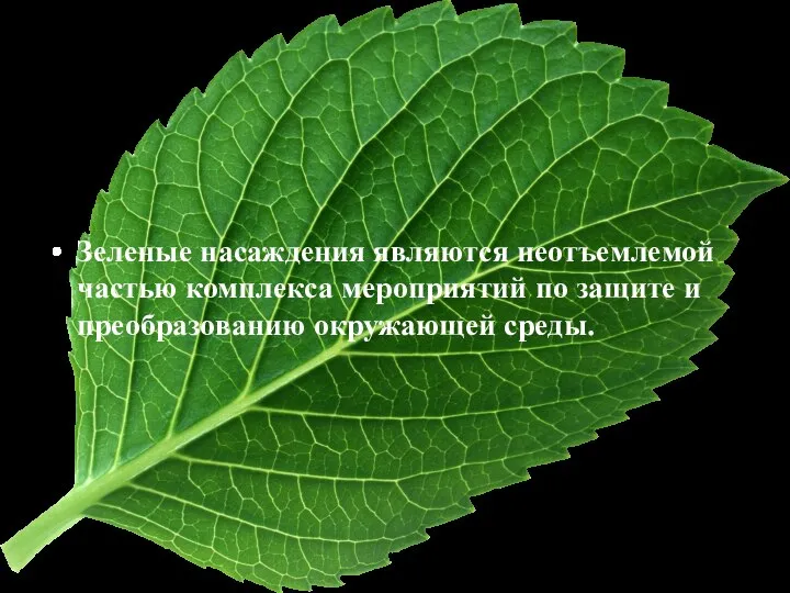 Зеленые насаждения являются неотъемлемой частью комплекса мероприятий по защите и преобразованию окружающей среды.