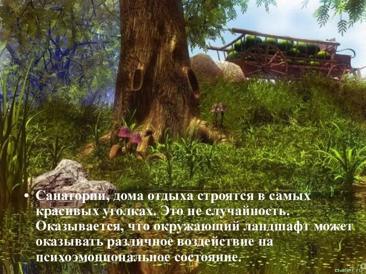 Санатории, дома отдыха строятся в самых красивых уголках. Это не случайность.