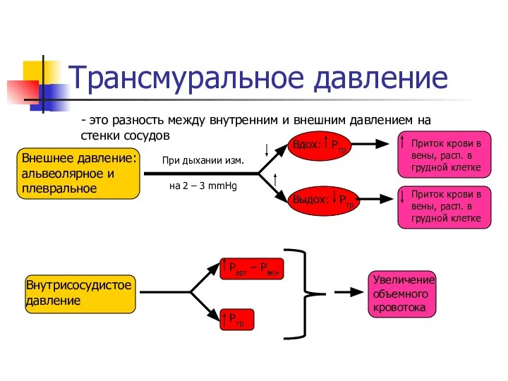 Трансмуральное давление - это разность между внутренним и внешним давлением на