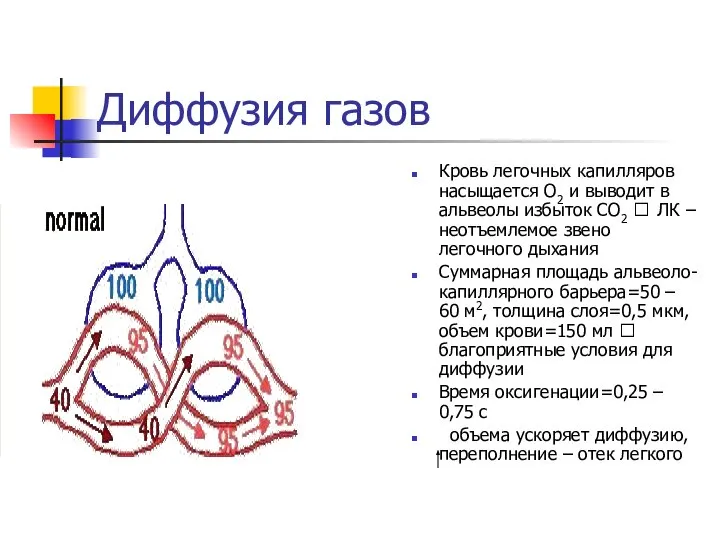 Диффузия газов Кровь легочных капилляров насыщается О2 и выводит в альвеолы