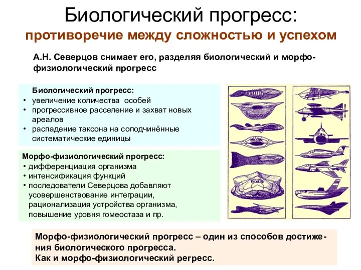 Биологический прогресс: противоречие между сложностью и успехом А.Н. Северцов снимает его,