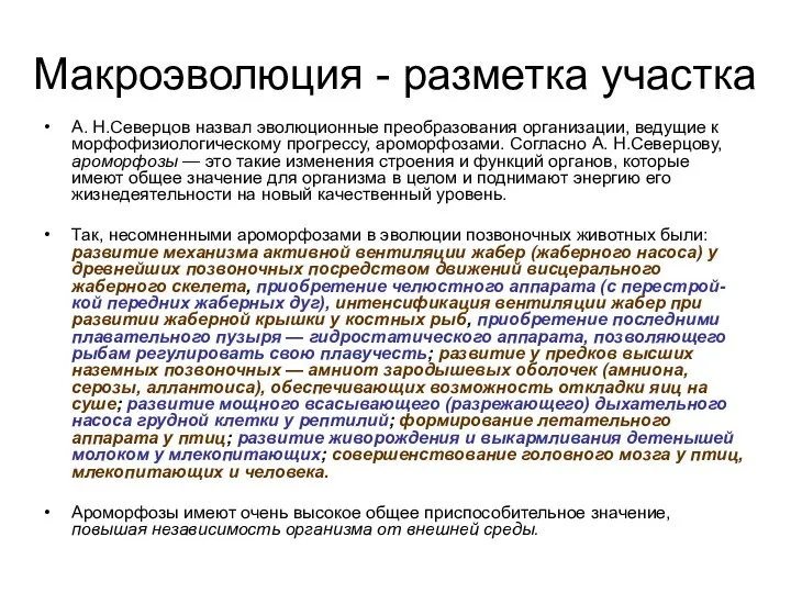 Макроэволюция - разметка участка А. Н.Северцов назвал эволюционные преобразования организации, ведущие