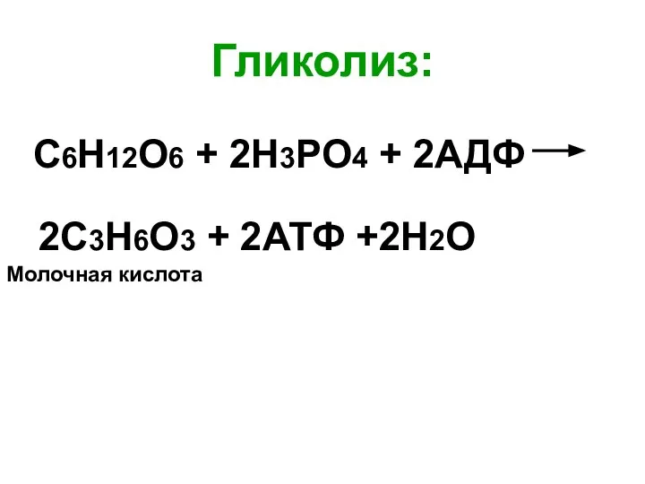 Гликолиз: С6Н12О6 + 2Н3РО4 + 2АДФ 2С3Н6О3 + 2АТФ +2Н2О Молочная кислота