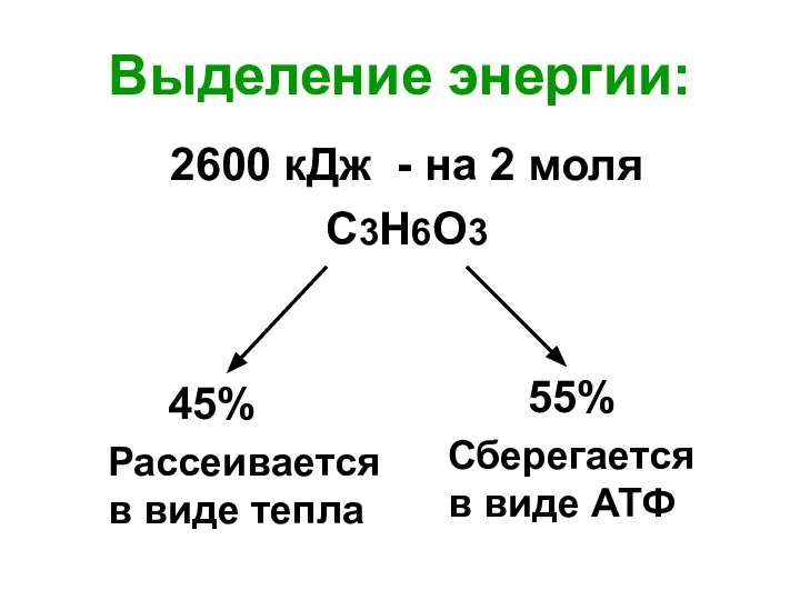 Выделение энергии: 2600 кДж - на 2 моля С3Н6О3 45% Рассеивается