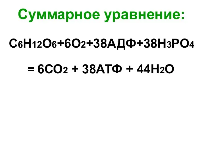 Суммарное уравнение: С6Н12О6+6О2+38АДФ+38Н3РО4 = 6СО2 + 38АТФ + 44Н2О