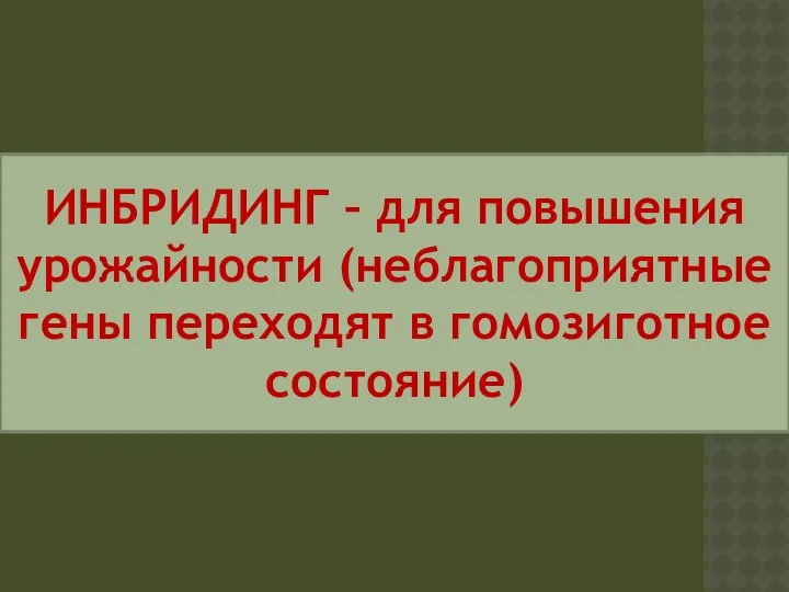 ИНБРИДИНГ – для повышения урожайности (неблагоприятные гены переходят в гомозиготное состояние)