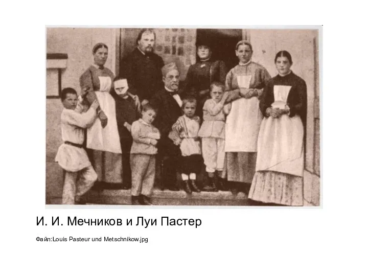 И. И. Мечников и Луи Пастер Файл:Louis Pasteur und Metschnikow.jpg