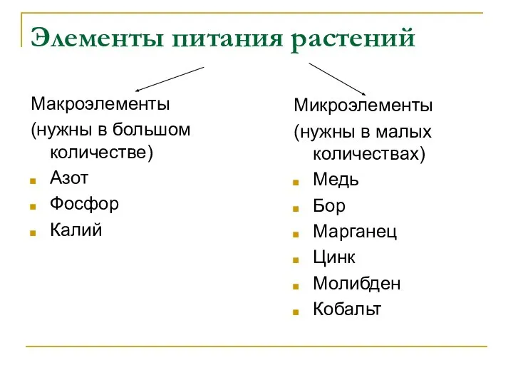 Элементы питания растений Макроэлементы (нужны в большом количестве) Азот Фосфор Калий